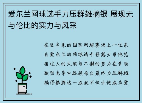 爱尔兰网球选手力压群雄摘银 展现无与伦比的实力与风采