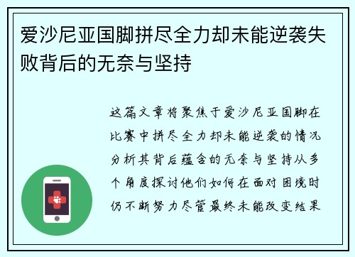 爱沙尼亚国脚拼尽全力却未能逆袭失败背后的无奈与坚持