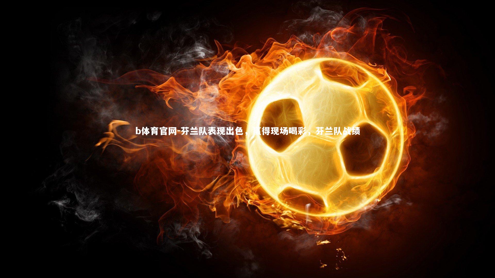 b体育官网-芬兰队表现出色，赢得现场喝彩，芬兰队战绩