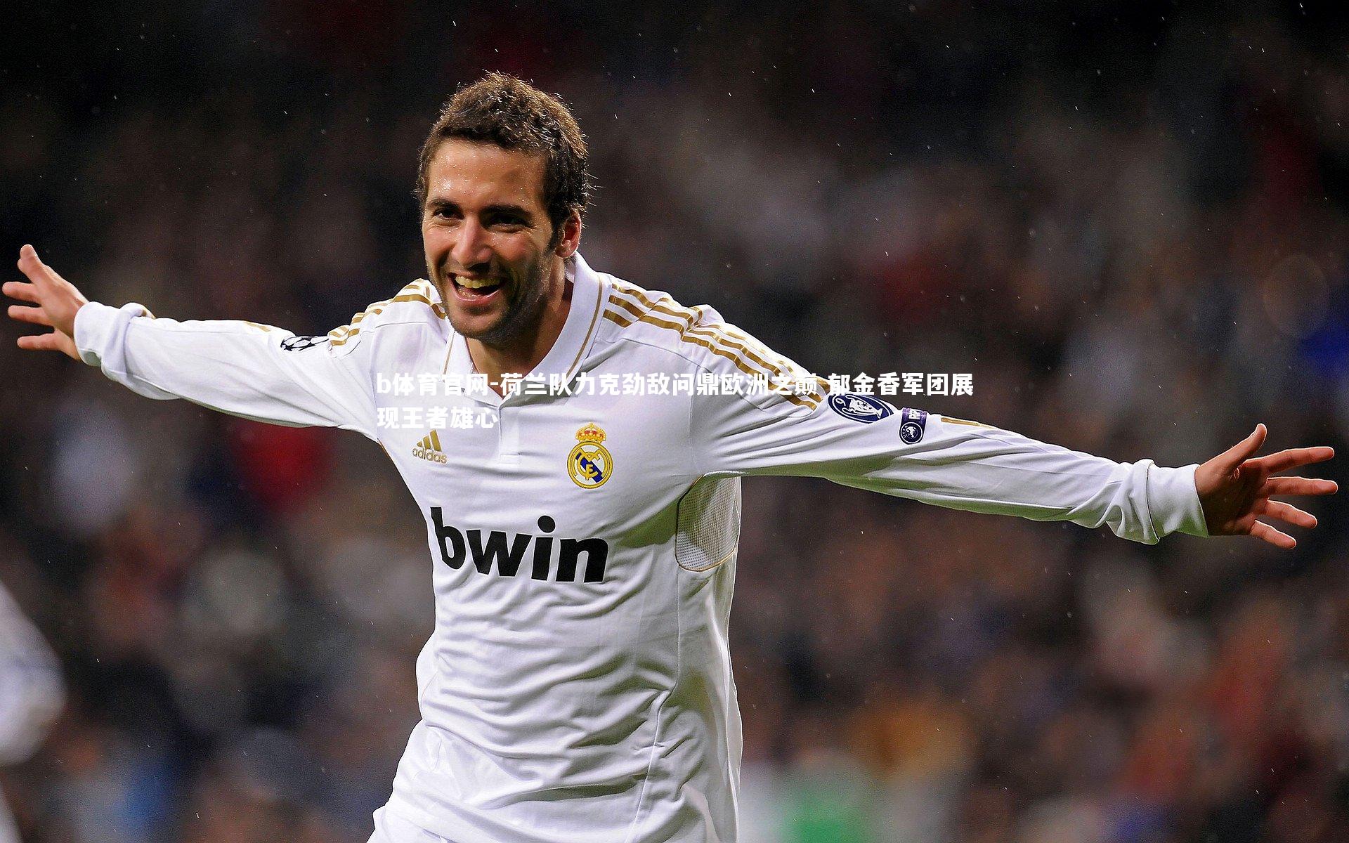 b体育官网-荷兰队力克劲敌问鼎欧洲之巅 郁金香军团展现王者雄心